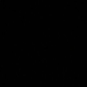 Meet your Posher, Jaime